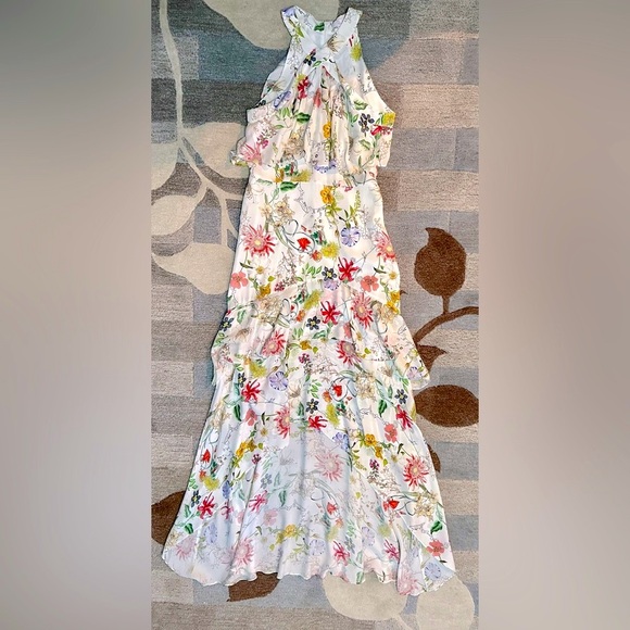 Parker Fillipa Sleeveless Halter Neck High/Low Ruffle Maxi Dress Floral Sangria - Picture 6 of 10